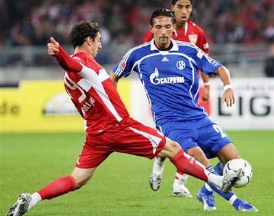 每年都吸引 每年都吸引